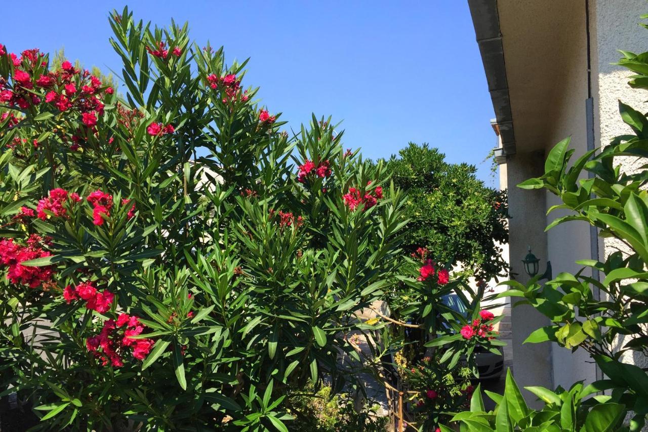 Apartments By The Sea Orebic, Peljesac - 11450 מראה חיצוני תמונה